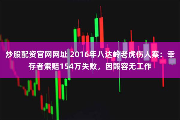 炒股配资官网网址 2016年八达岭老虎伤人案：幸存者索赔154万失败，因毁容无工作