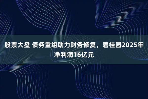 股票大盘 债务重组助力财务修复，碧桂园2025年净利润16亿元
