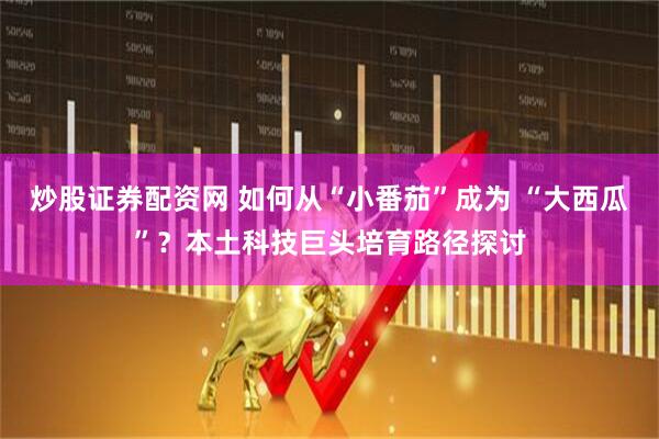 炒股证券配资网 如何从“小番茄”成为 “大西瓜”？本土科技巨头培育路径探讨